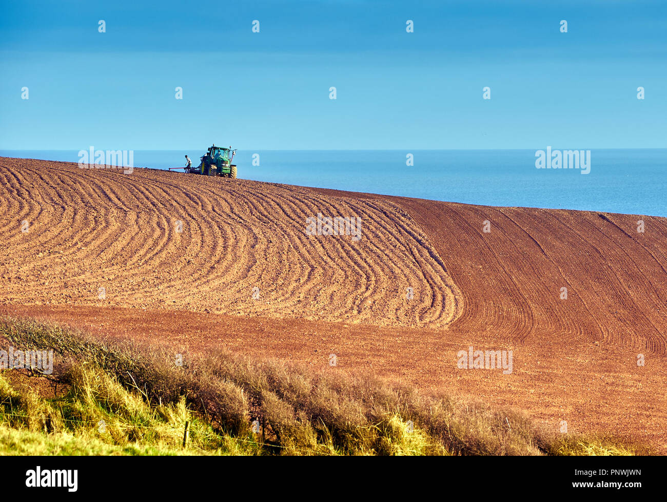 Tractor pulling a seed drill across a ploughed field in Devon, U.K. Stock Photo