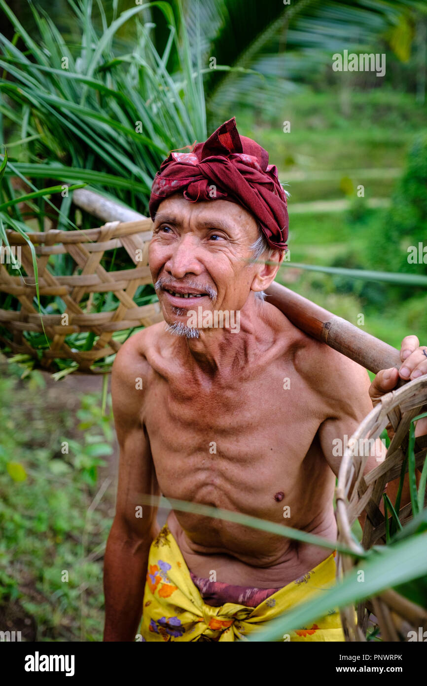 A local worker at the Tegallalang Rice Terrace in Bali, Indonesia Stock Photo