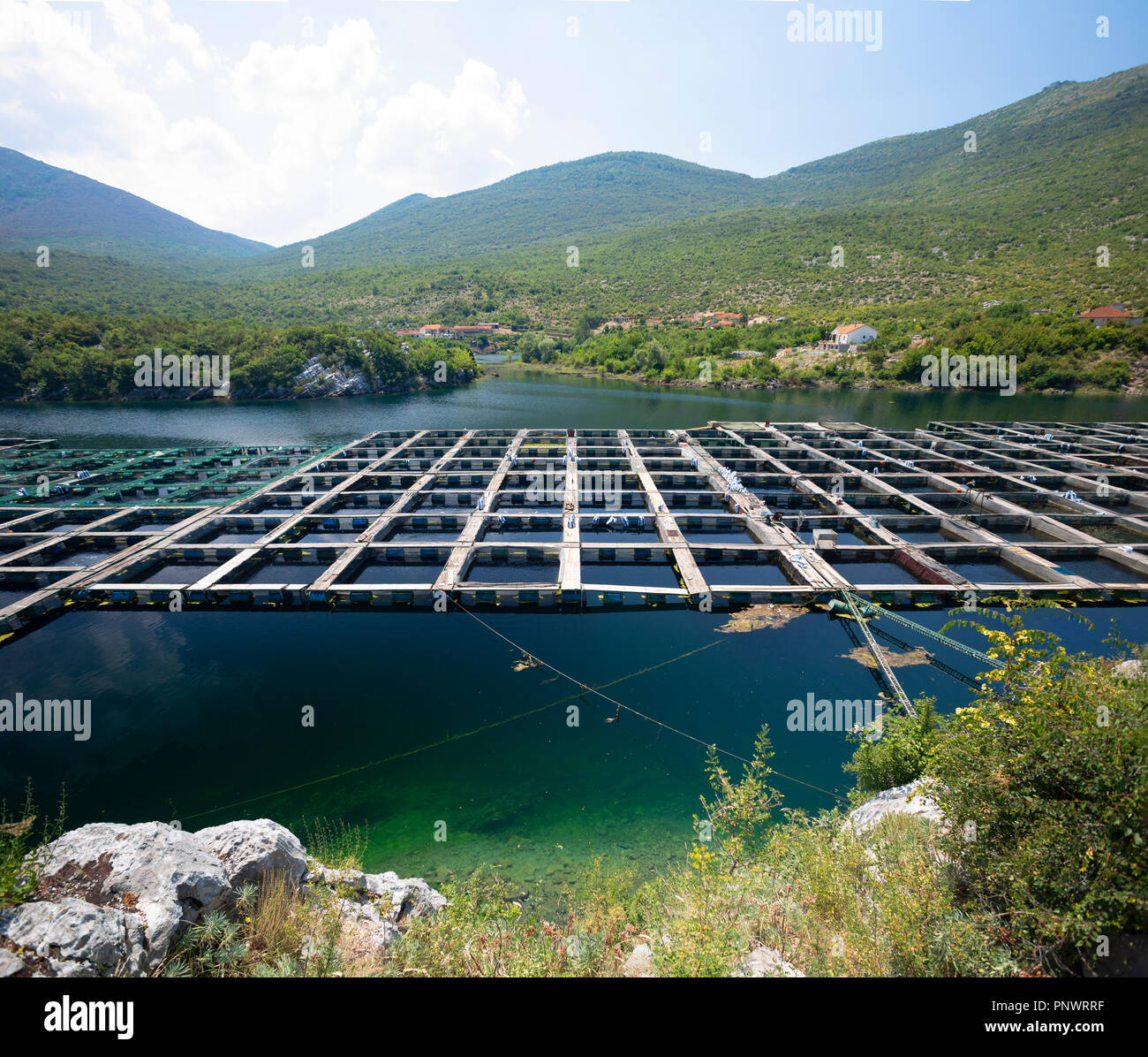 A trout farm on the  Trebišnjica river at the Trebinjsko jezero dam reservoir, near the town of Trebinje (Republika Srpska, Bosnia-Herzegovina). Stock Photo