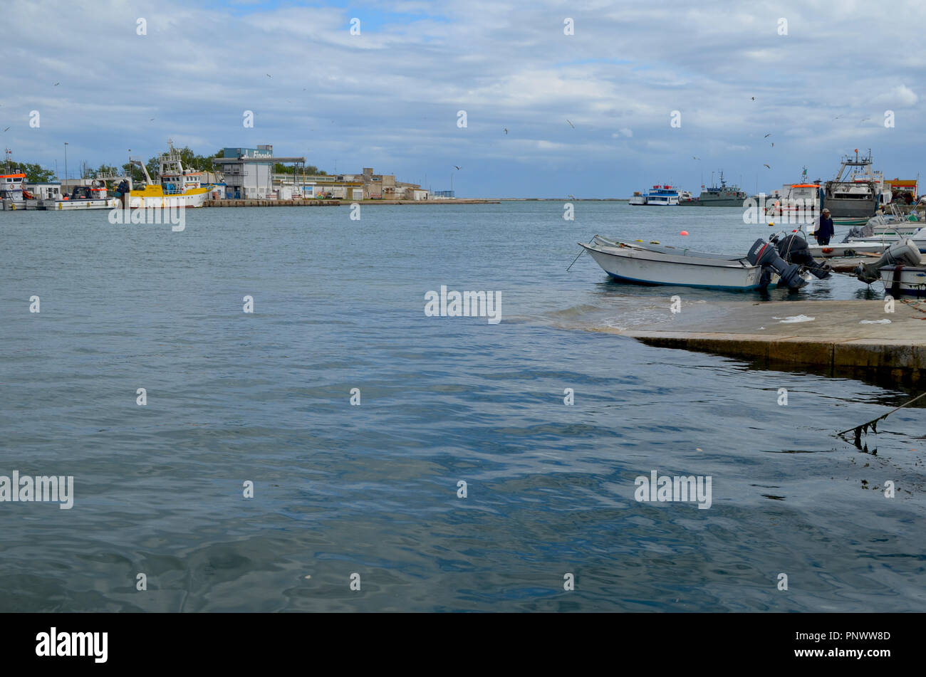 Artisanal fleet in the fishing habour of Olhao, Algarve, Southern Portugal Stock Photo