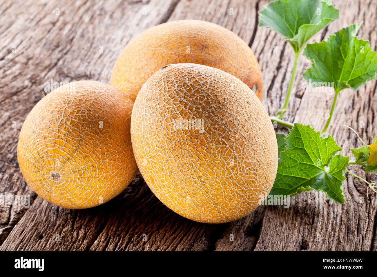 Ripes melons with melon leaves on wooden background. Stock Photo