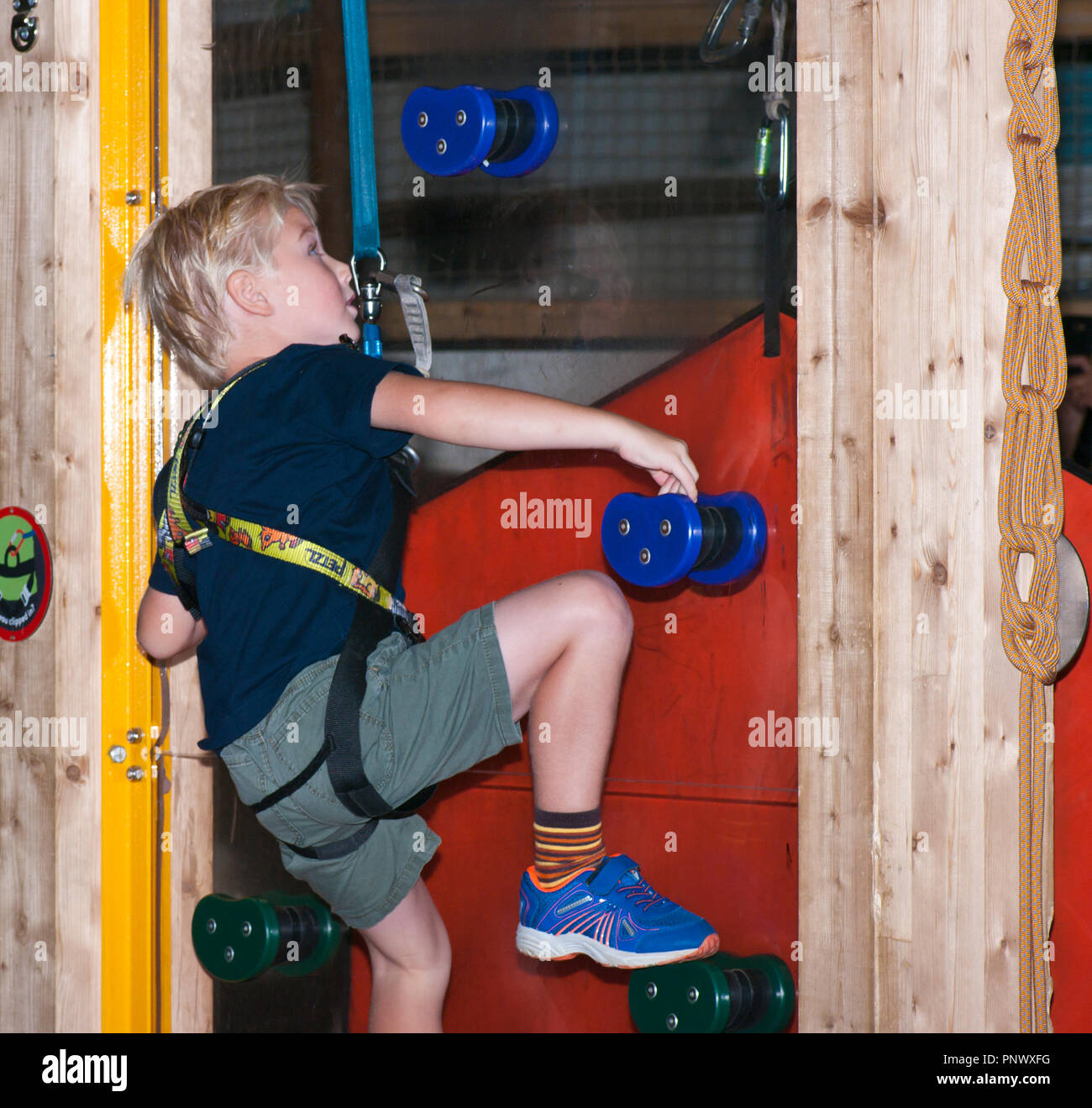 Young Boy Striving To Climb a Climbing Wall Secured By A Safety Harness Stock Photo Alamy
