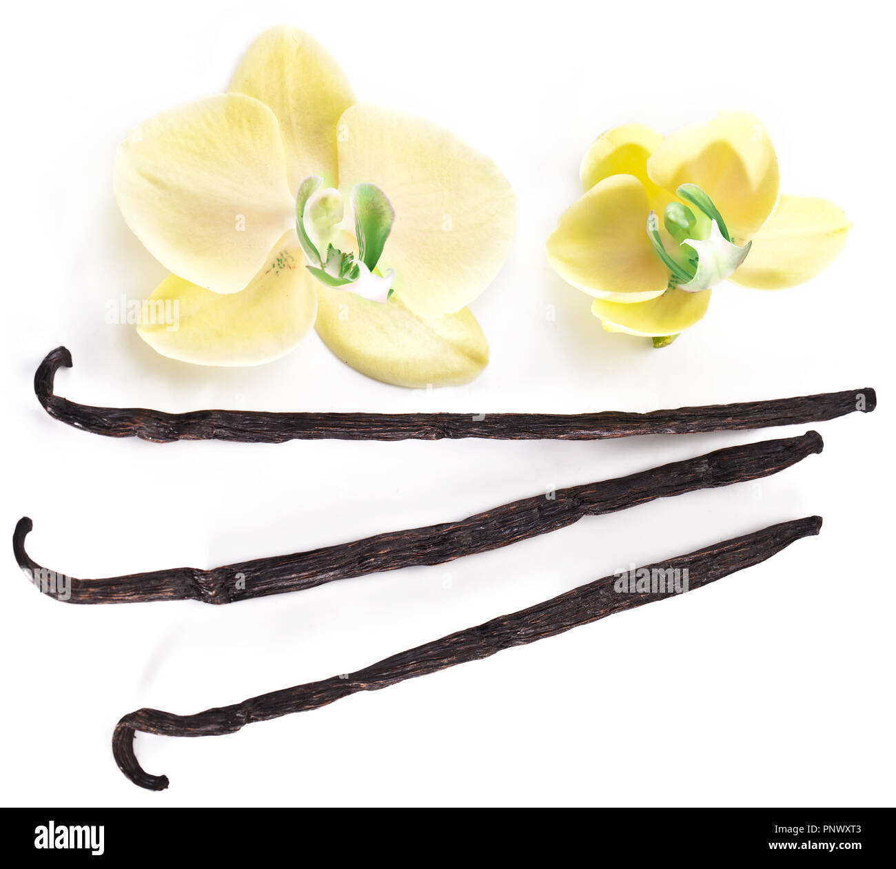 Dried vanilla fruits and orchid vanilla flowers isolated on white background. Stock Photo