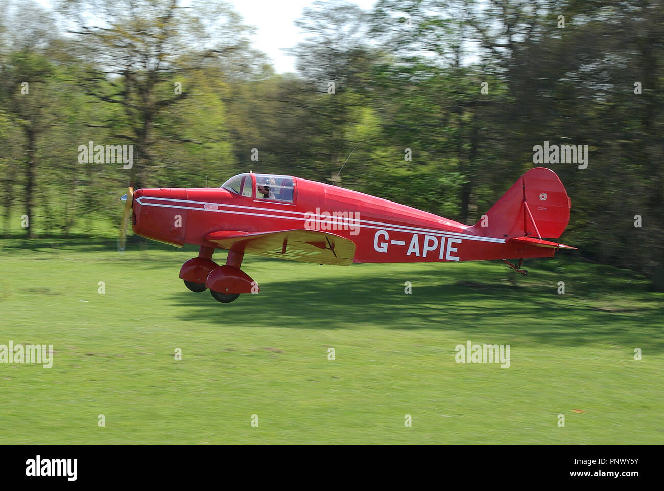 Avions Fairey Tipsy Belfair G-APIE taking off at Henham Park grass airstrip in tree filled countryside, Suffolk, UK. British airfield sunny day Stock Photo