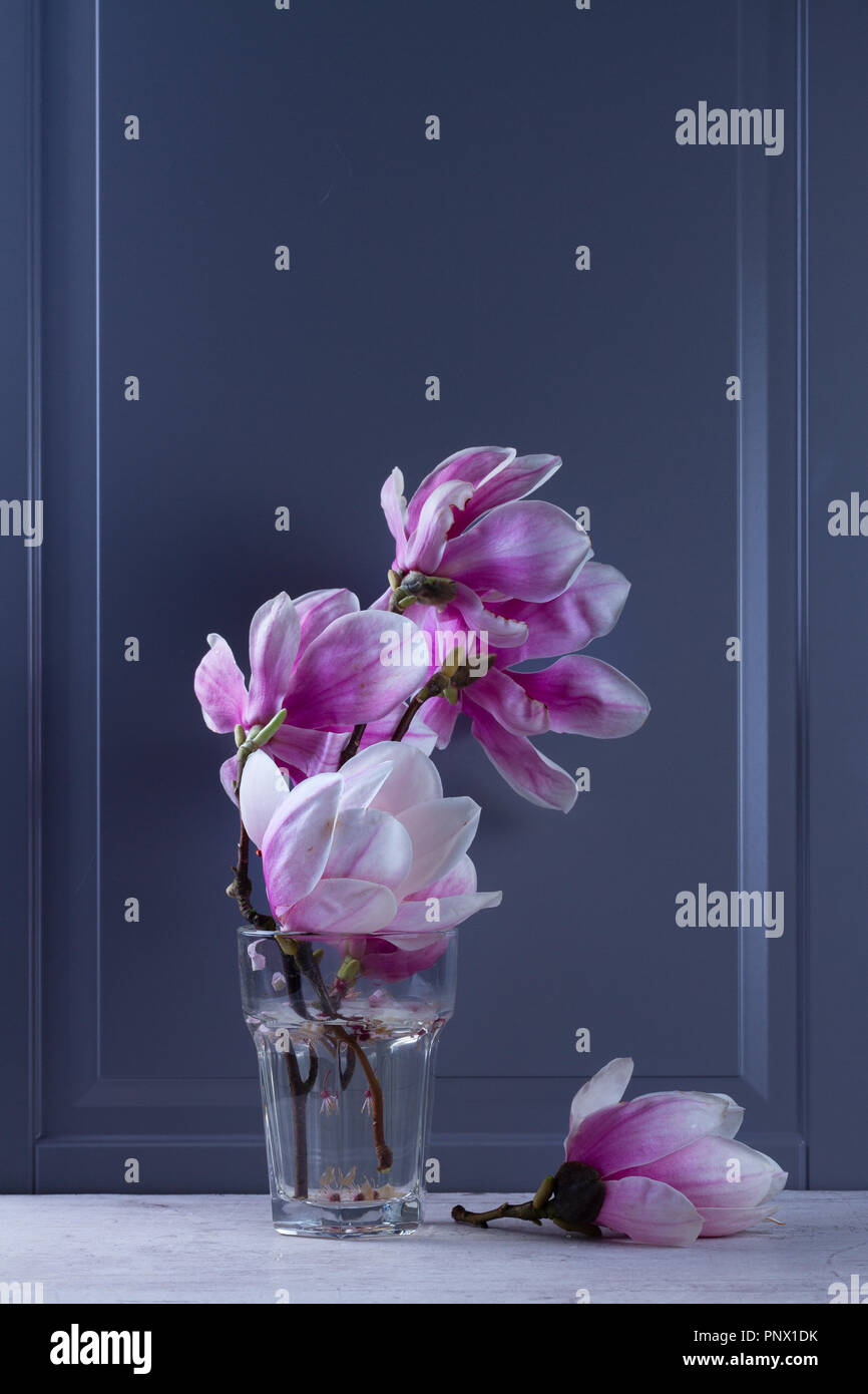 Magnolia wall interior hi-res stock photography and images - Alamy