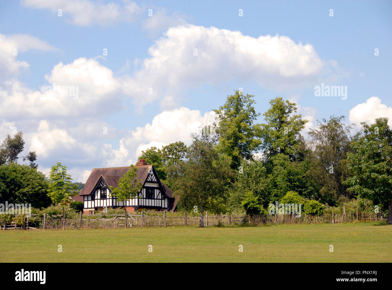 Tranquil Escape: Secluded Home Landscape