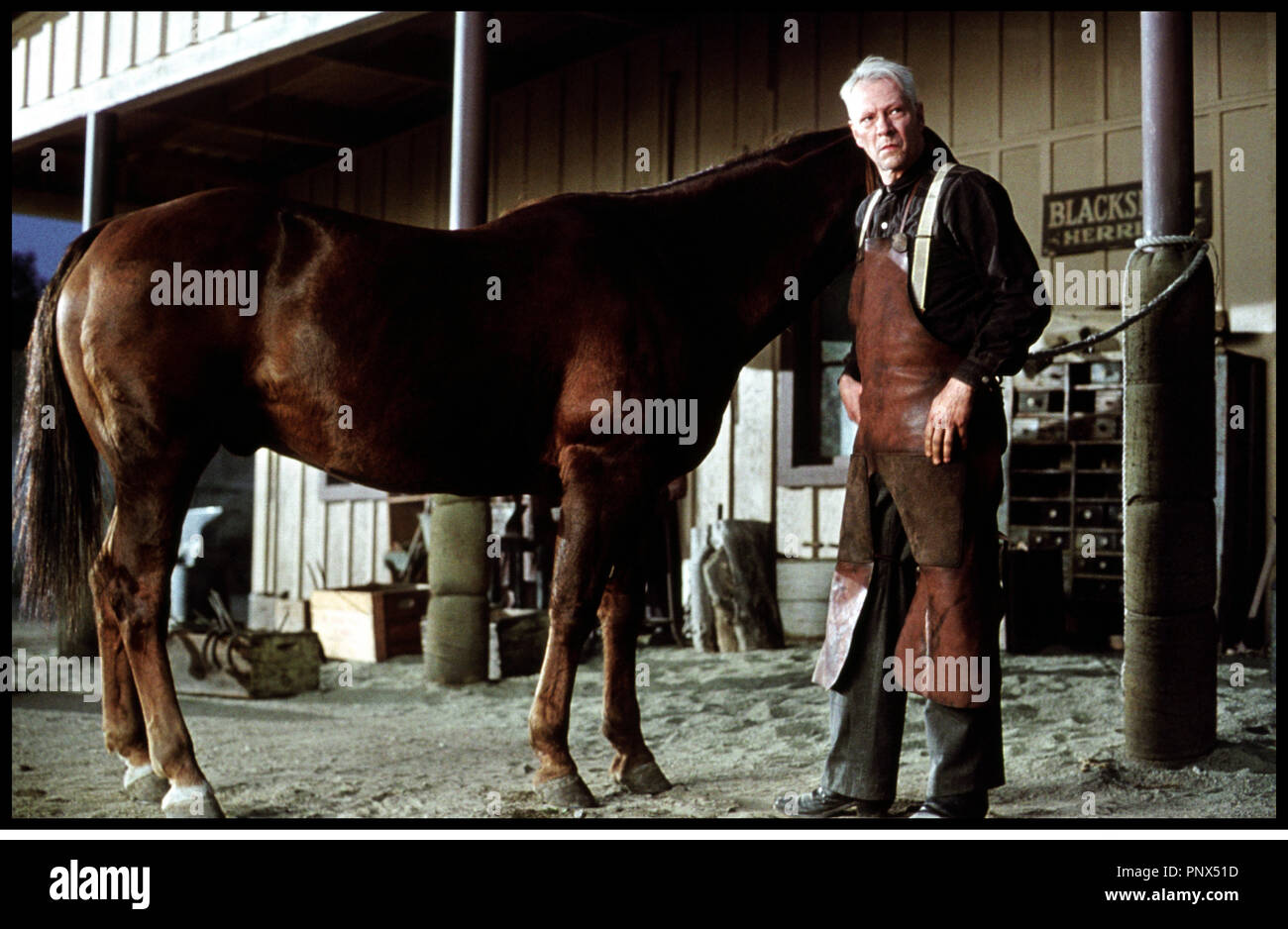 TÉLÉCHARGER PUR SANG LA L GENDE DE SEABISCUIT UPTOBOX SEABISCUIT DE TÉLÉCHARGER PUR LA SANG GENDE UPTOBOX L