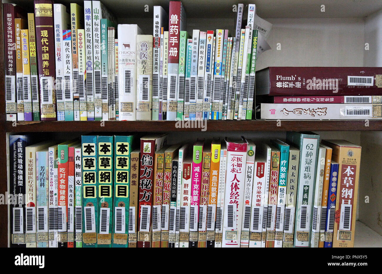 Shelves full of books at the Grand Peoples Study House in Pyongyang ...