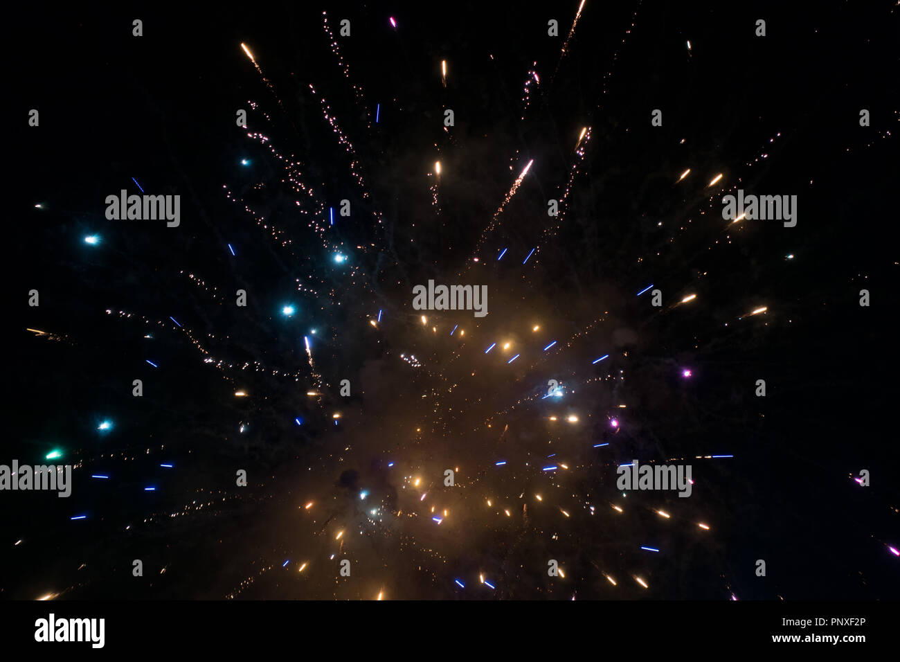 exploding fireworks in night sky. Stock Photo