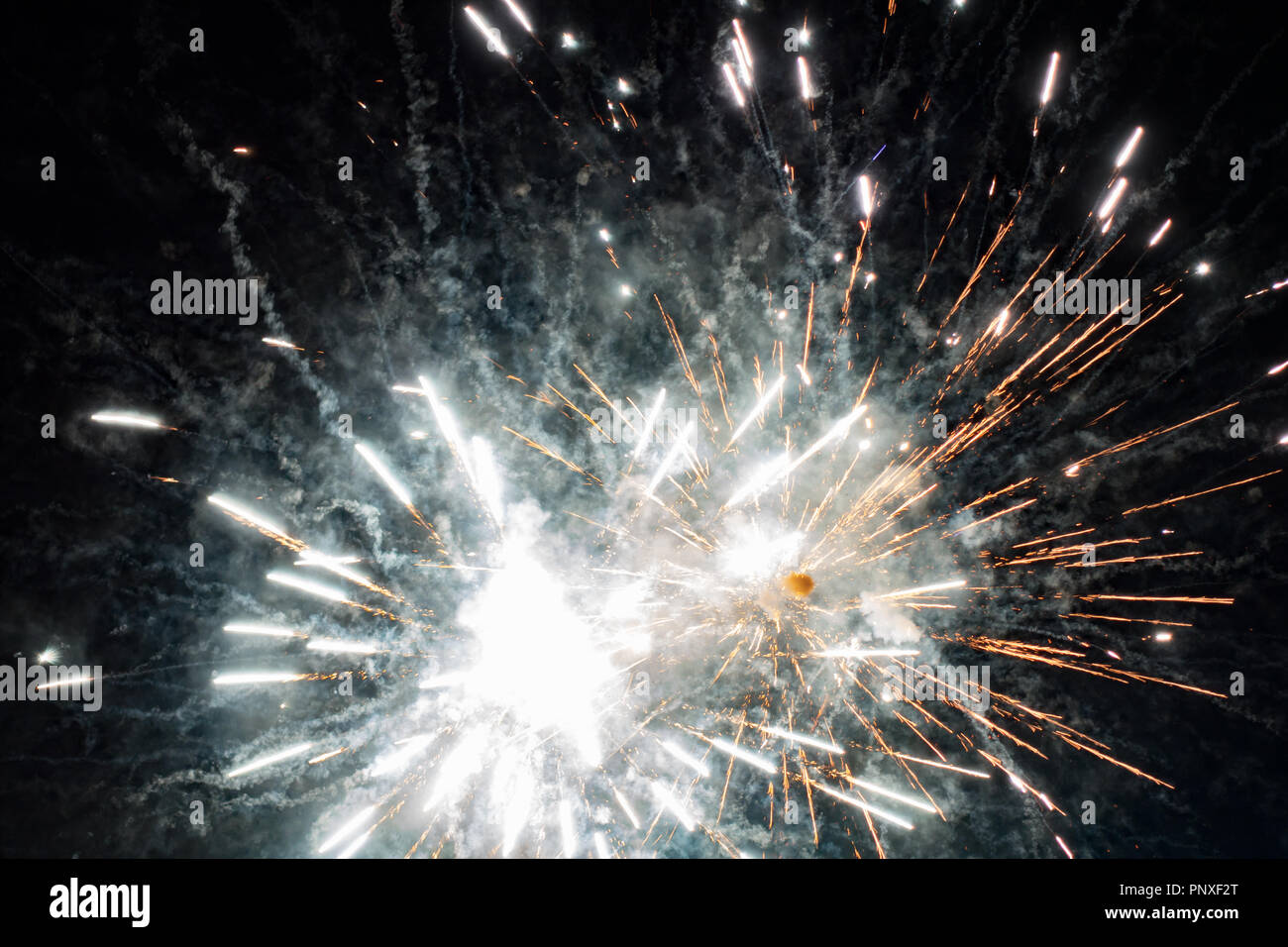 exploding fireworks in night sky. Stock Photo