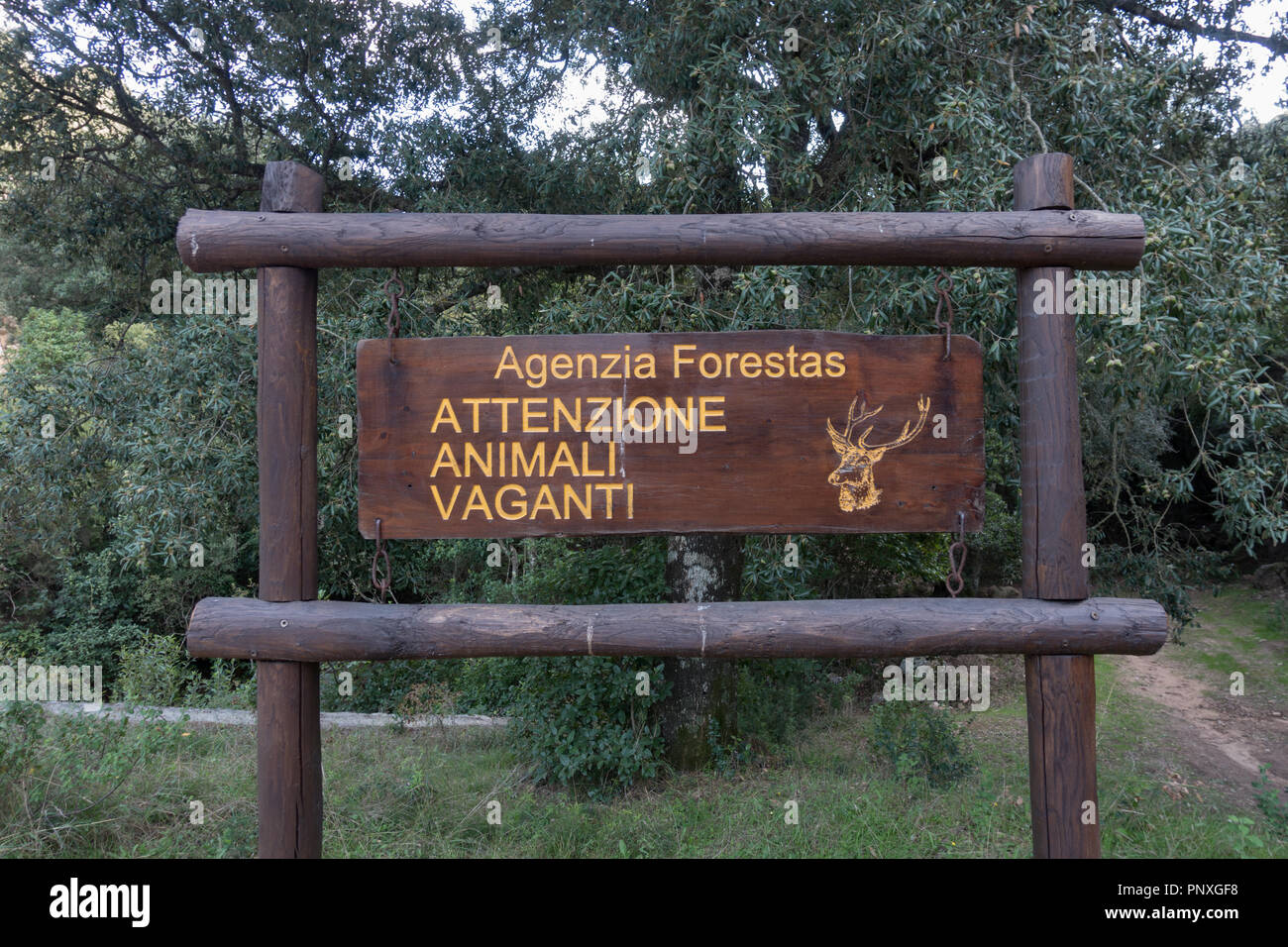 Information board. Foresta Demaniale dei Sette Fratelli Province of Cagliari Stock Photo
