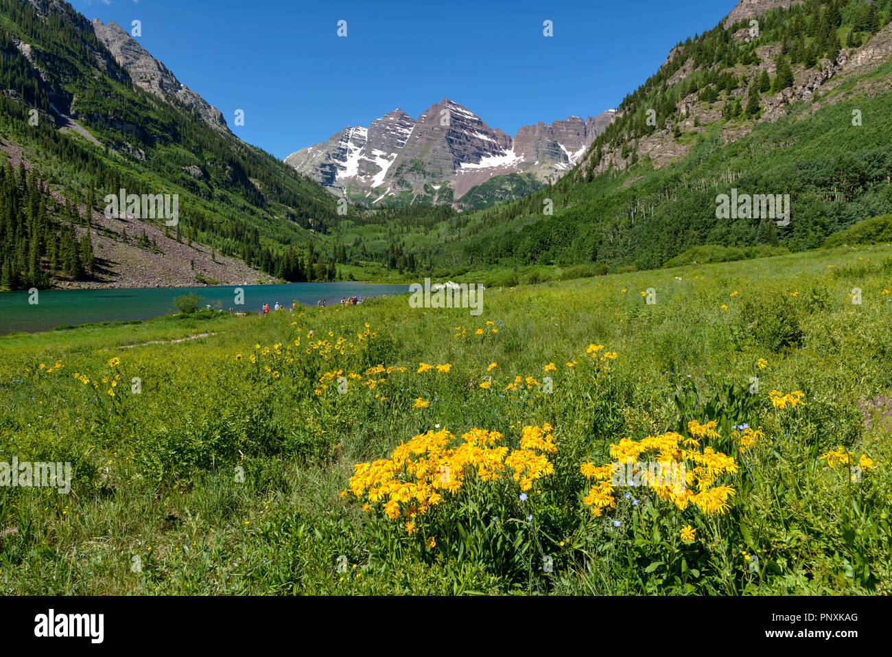 Maroon Creek Valley - A sunny spring view of Maroon Creek Valley, with Maroon Bells and Maroon Lake in the background, Aspen, Colorado, USA. Stock Photo