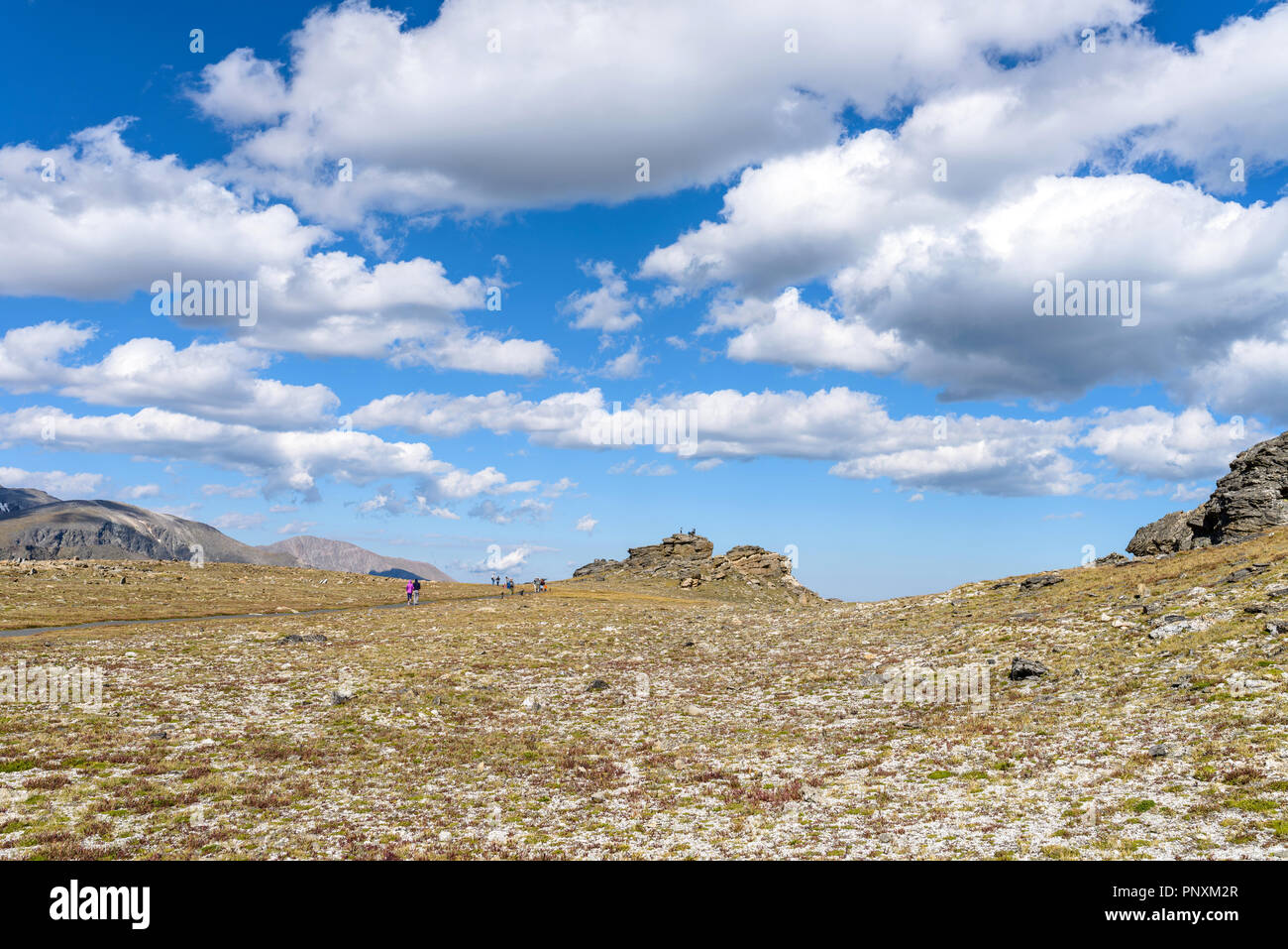 Walking on Tundra - Summer view of tourists walking on a trail crossing alpine tundra near Trail Ridge Road at top of Rocky Mountain National Park, CO Stock Photo