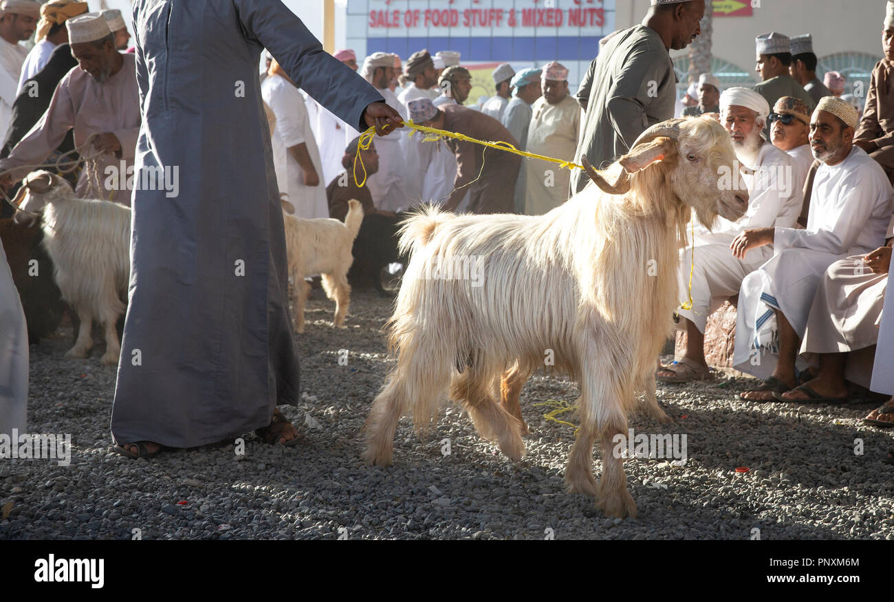 Omani farmer hi-res stock photography and images - Alamy