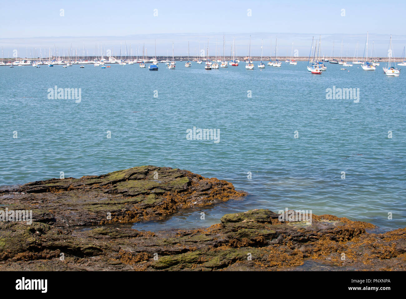 Holyhead and Anglesey UK Stock Photo Alamy