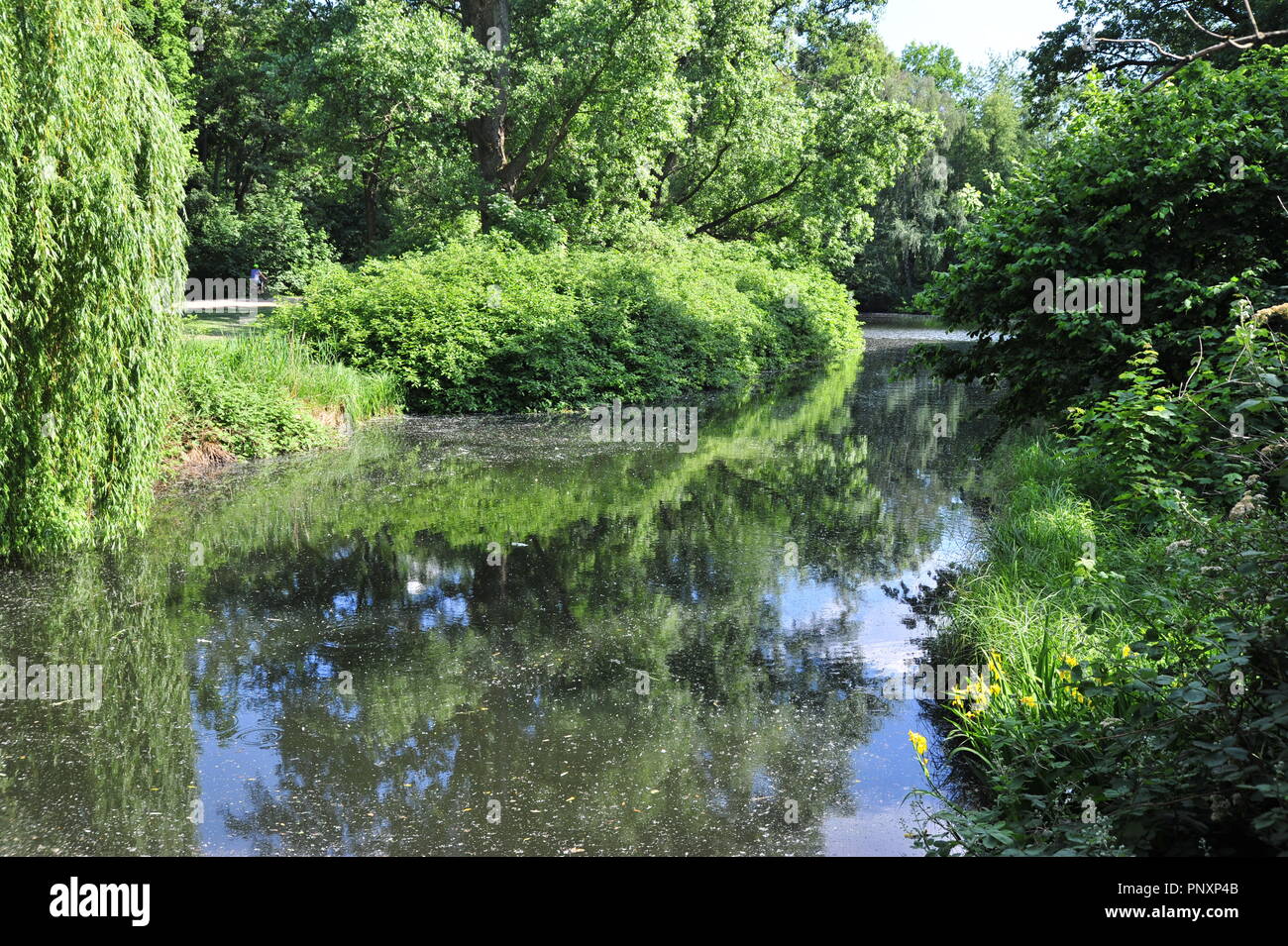 Natur berlin hi-res stock photography and images - Alamy