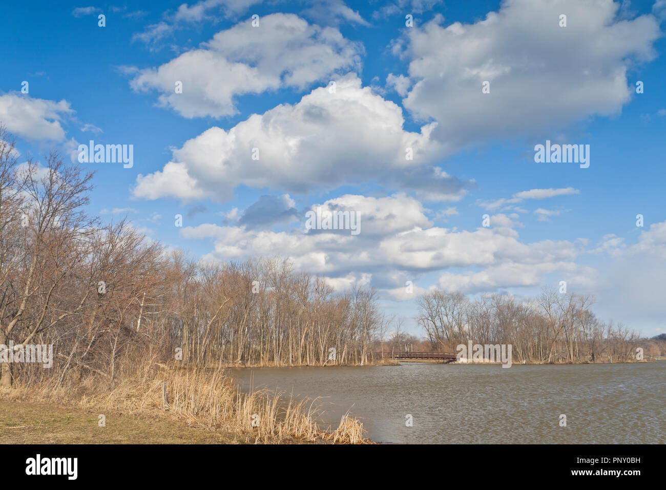 Puffy white clouds stand out against a blue sky above a bridge over a portion of Creve Coeur Lake on a blustery evening in early spring. Stock Photo