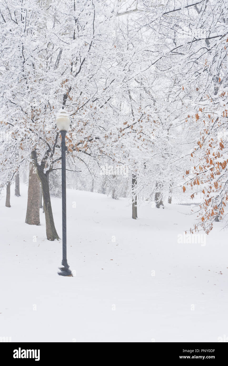 Palm Sunday snowfall at January-Wabash Park with a street light beside a walking path. Stock Photo