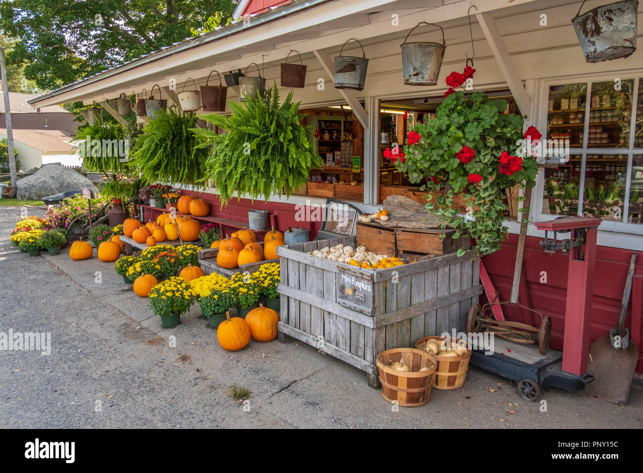 Farm stand in the fall selling pumpkins Stock Photo