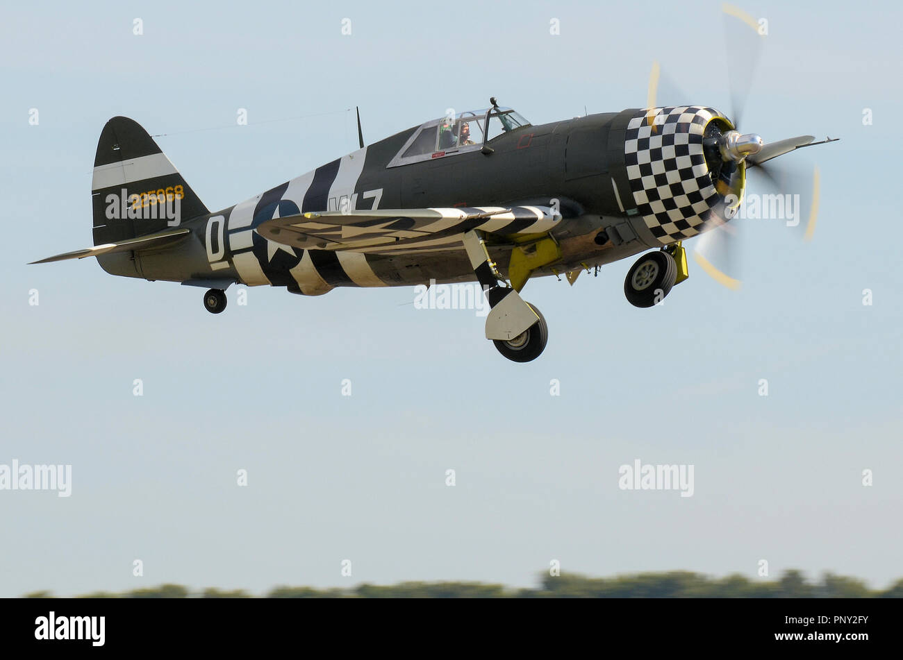 Republic P-47 Thunderbolt Second World War fighter plane in olive drab with invasion stripes and checkerboard nose cowling. Flying Stock Photo