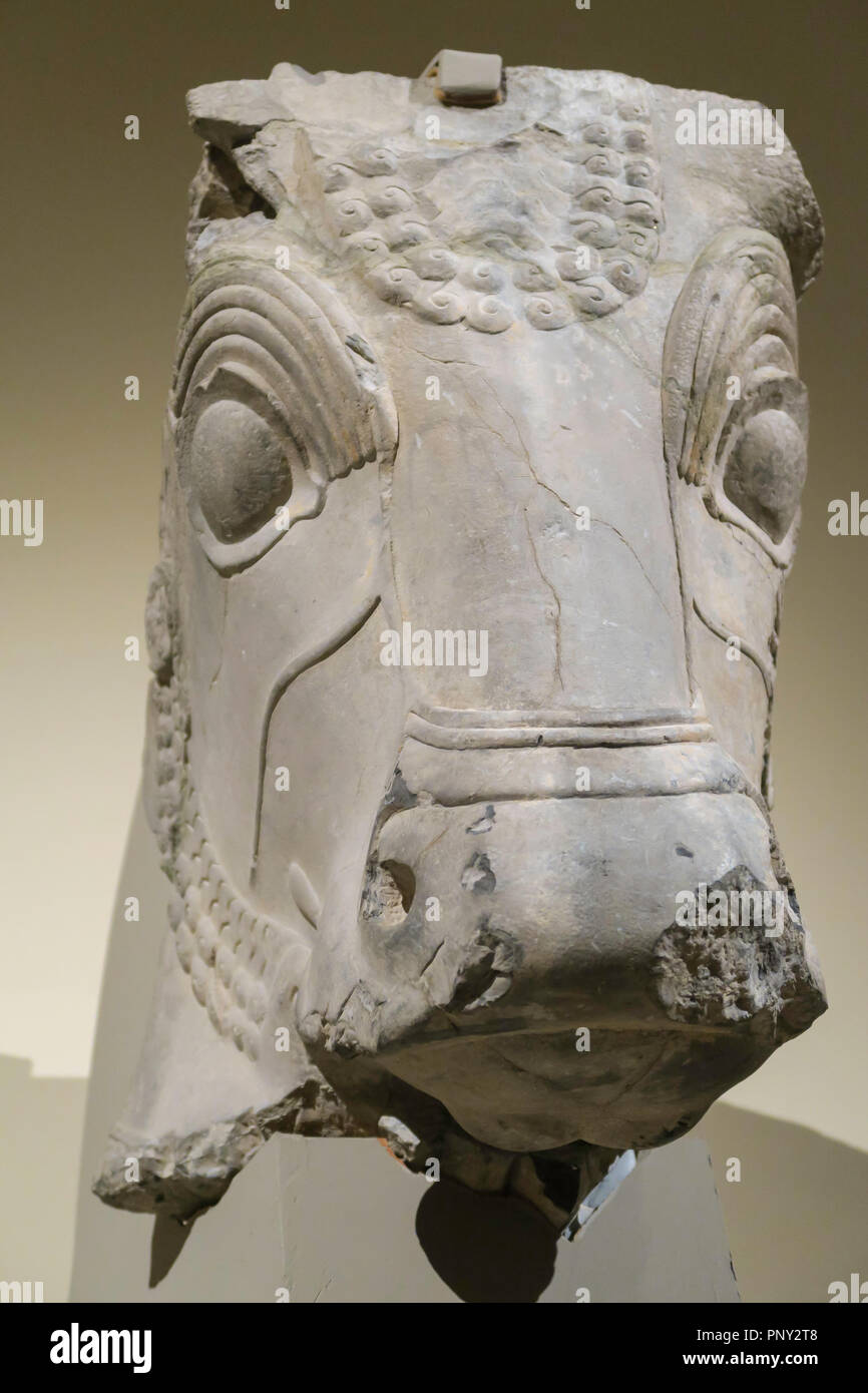 Apologise, asian galleries com pity, that Pity, that asian galleries com agree