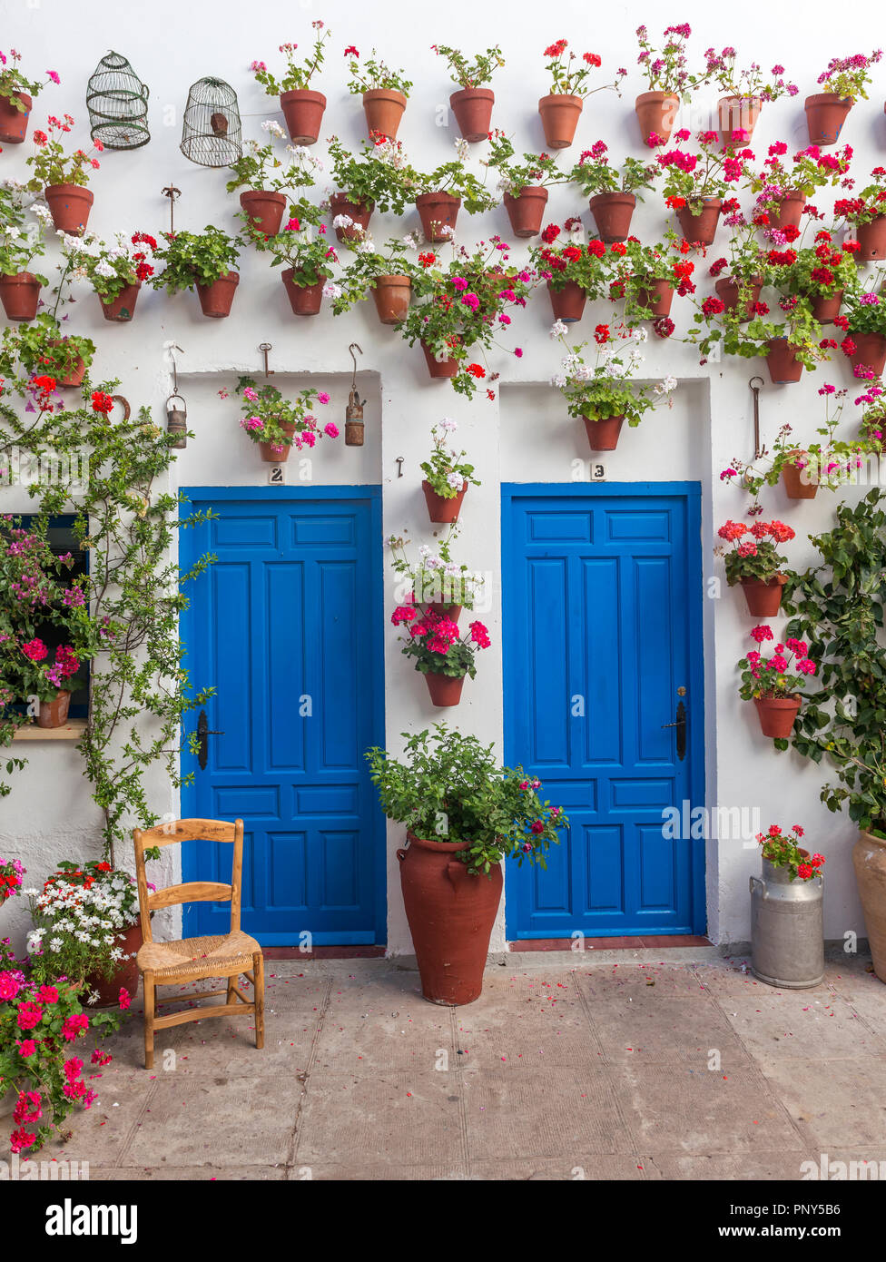 Blue front doors with many red geraniums in flowerpots on a house wall