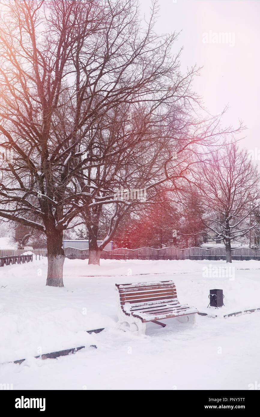 Winter city landscape. Winter park covered with snow. A bench un Stock ...