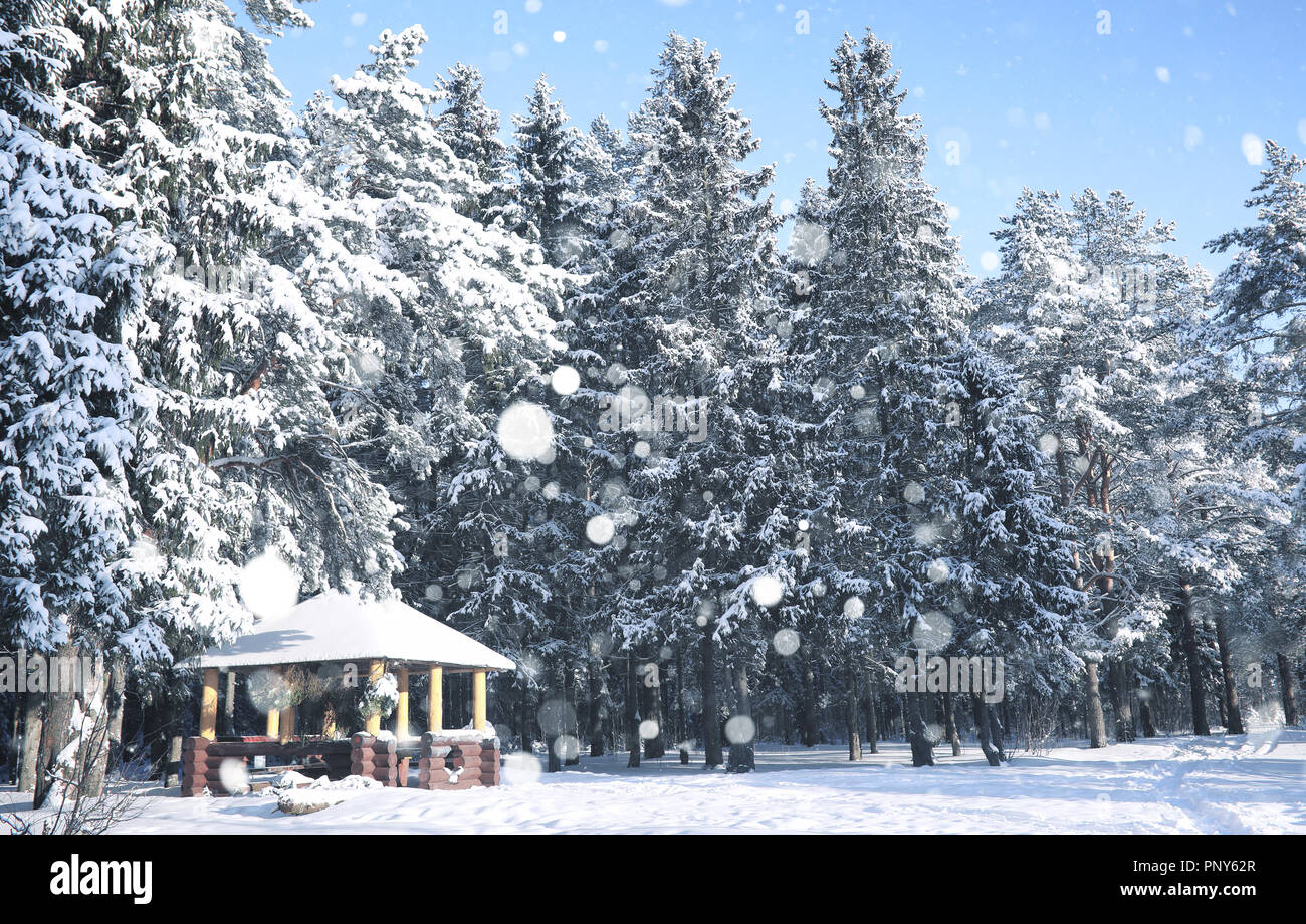 wooden gazebo in forest in the winter snow blizzard Stock Photo - Alamy