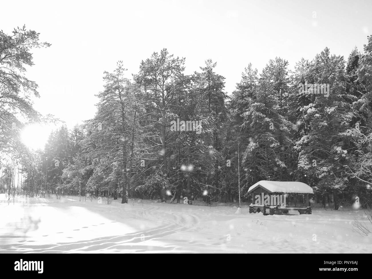 monochrome wooden gazebo in forest in winter sunny day Stock Photo - Alamy