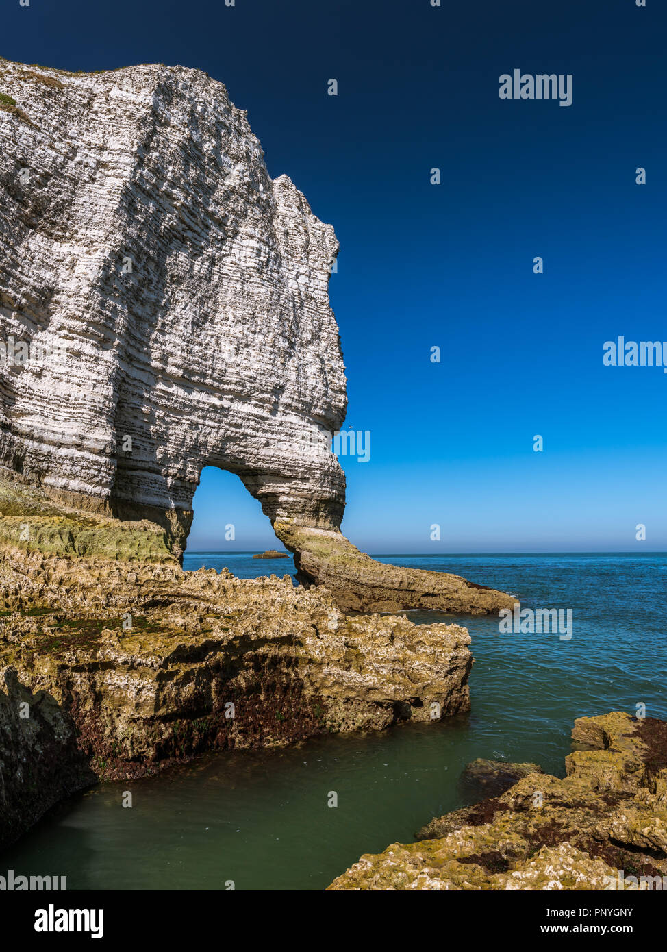 Chalk cliffs of Etretat (Normandy France) with the natural arch Porte d