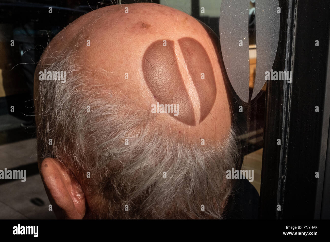 Sunlight creates a coffee bean shadow onto a bald head Stock Photo