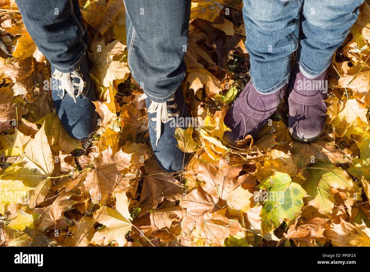 Ноги пары в осенней листве