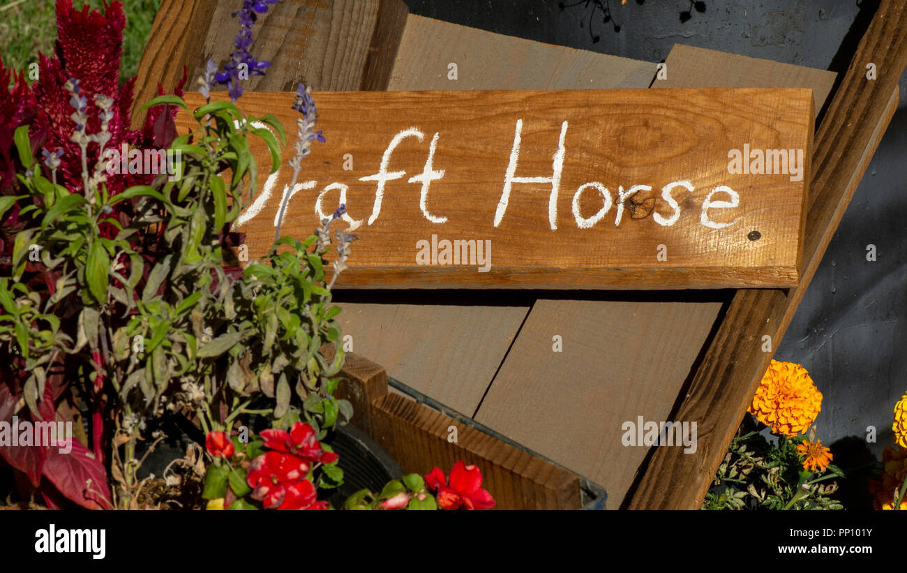 Draft horse show sign hires stock photography and images Alamy