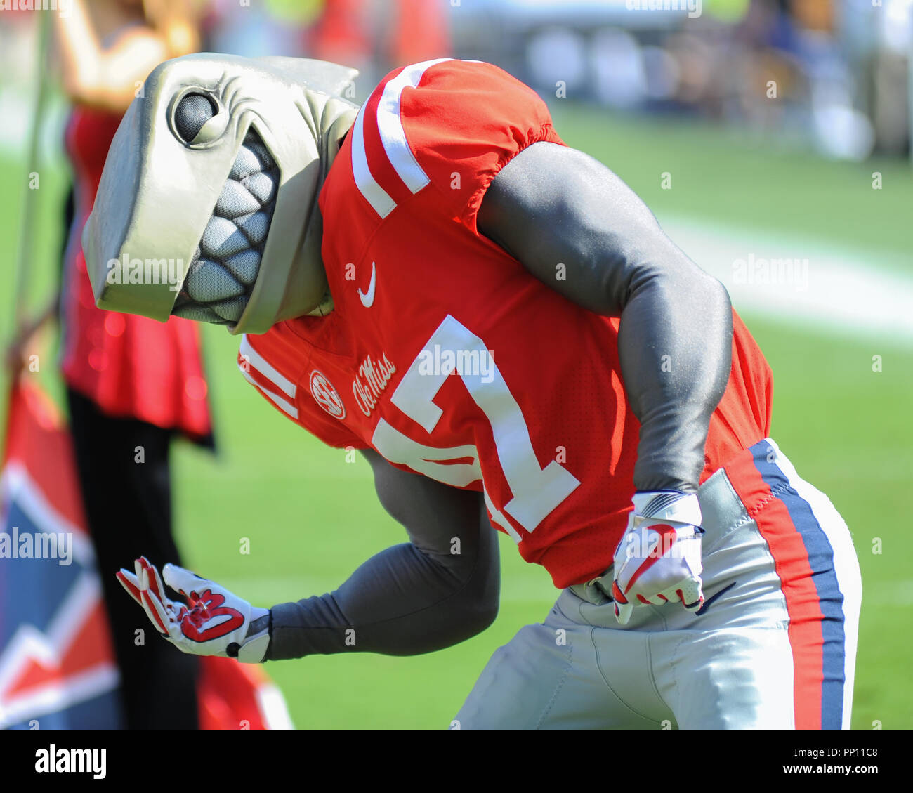 Ole miss mascot hires stock photography and images Alamy
