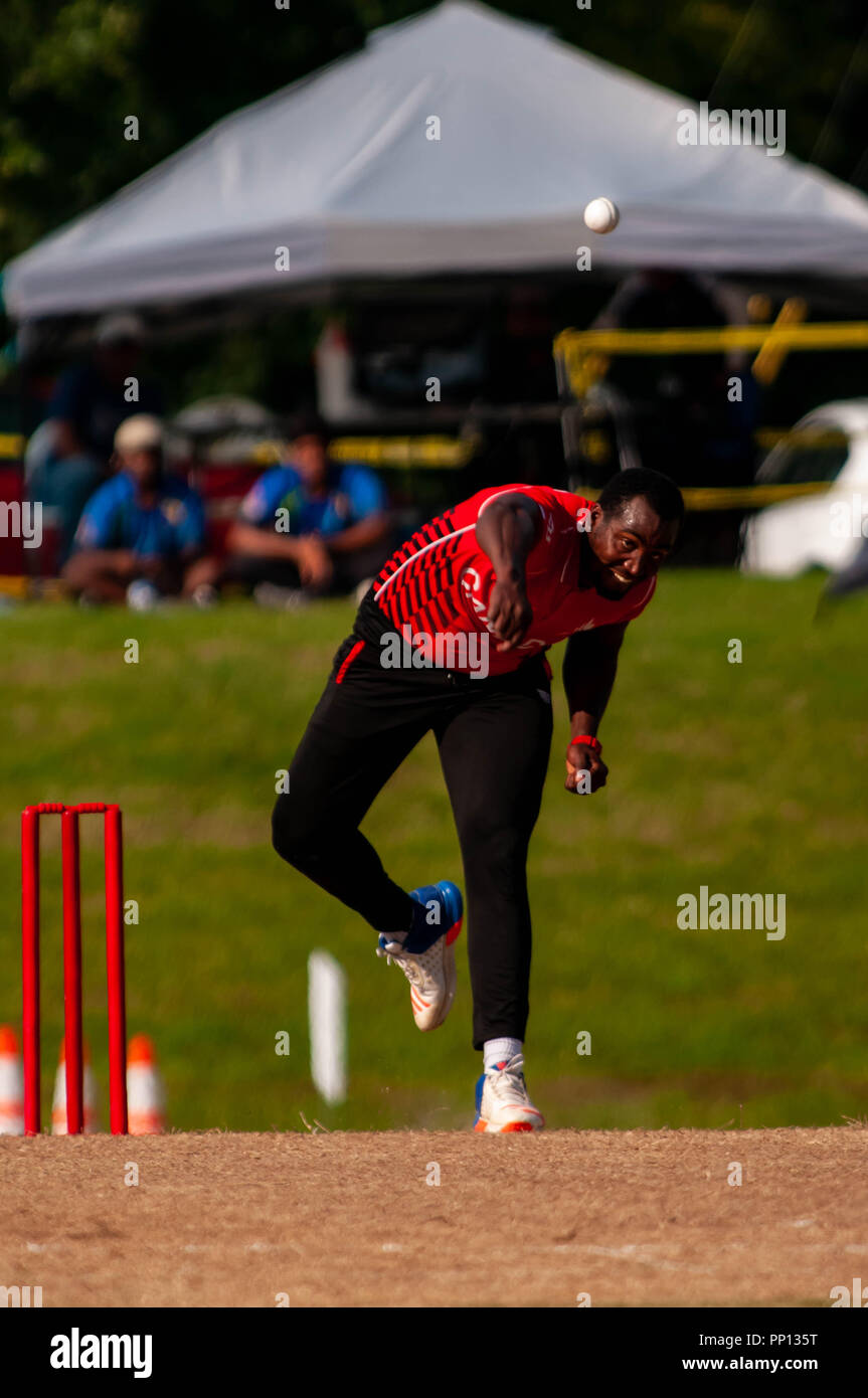 Team usa cricket 2018 hires stock photography and images Alamy