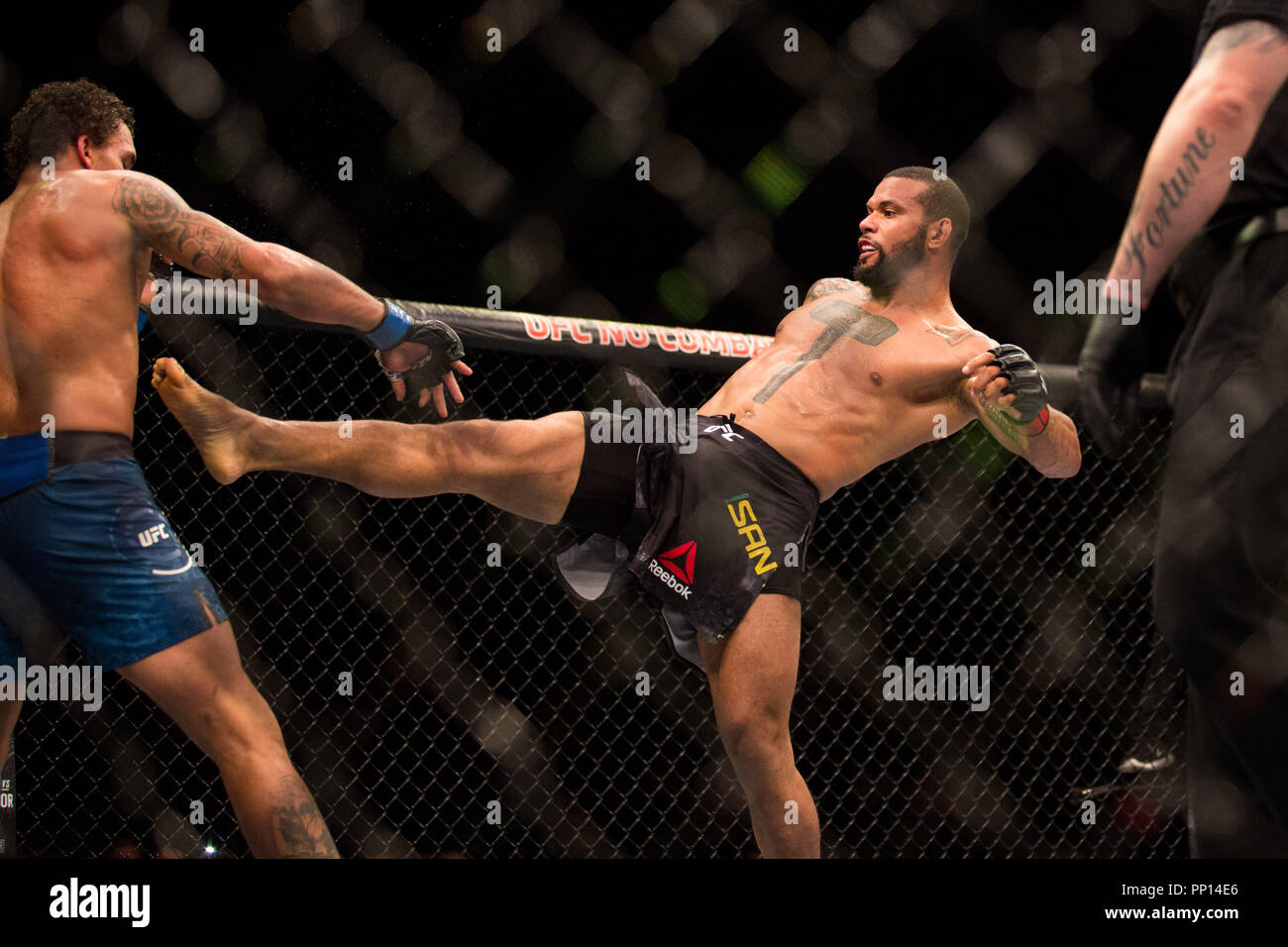 reebok studio ibirapuera