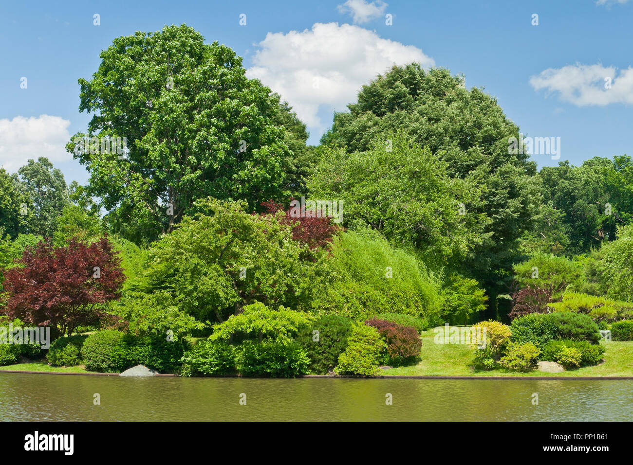 ST. LOUIS - JUNE 12: Bright puffy clouds in blue sky over the lake in the Japanese Garden at the Missouri Botanical Garden on a mid-June summer day, 2 Stock Photo