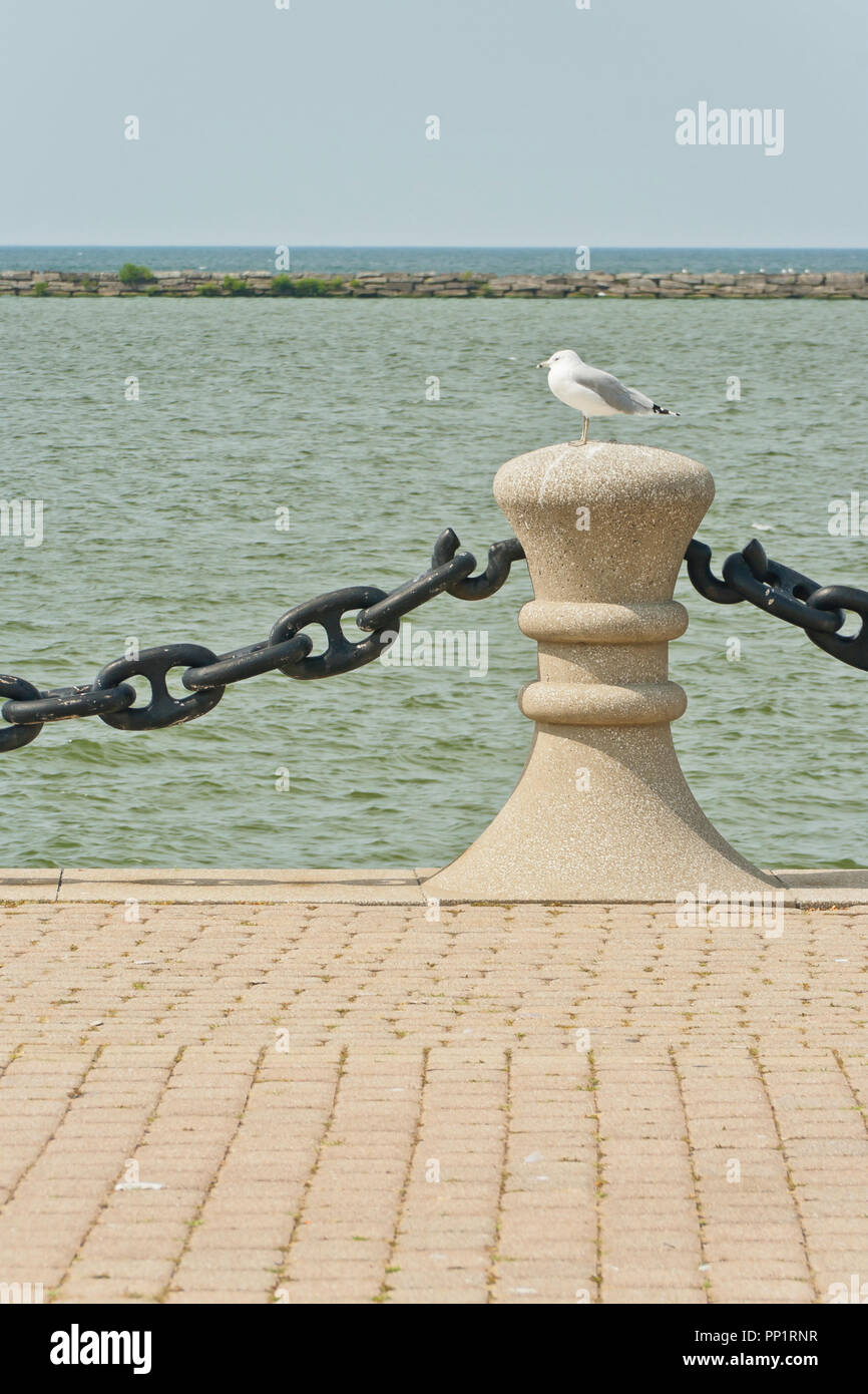 A post beside Lake Erie at Cleveland Voinovich Park seems to be the perfect place for a ring-billed gull to relax on a mostly cloudy summer day. Stock Photo