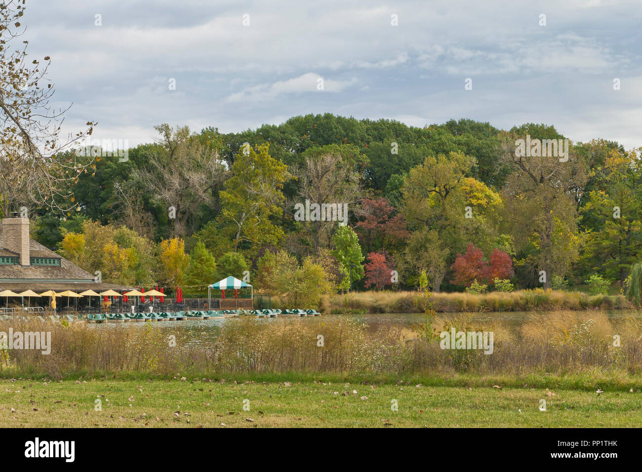 A few red-leaved trees dot the landscape beyond The Boathouse and Government Drive as one looks over the Post-Dispatch Lake. Stock Photo