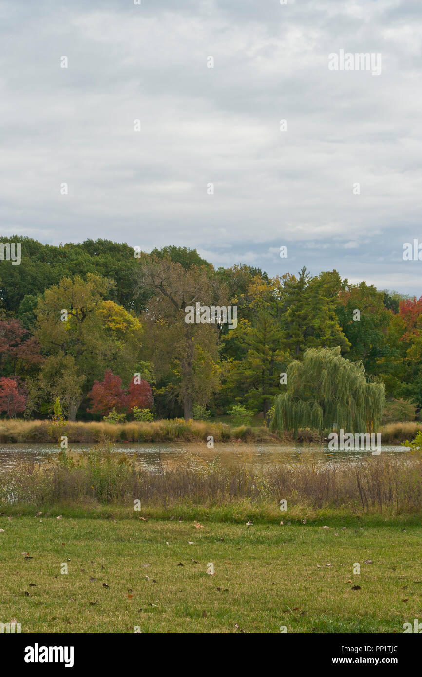 A few red-leaved trees dot the landscape beyond Government Drive as one looks over the Post-Dispatch Lake. Stock Photo