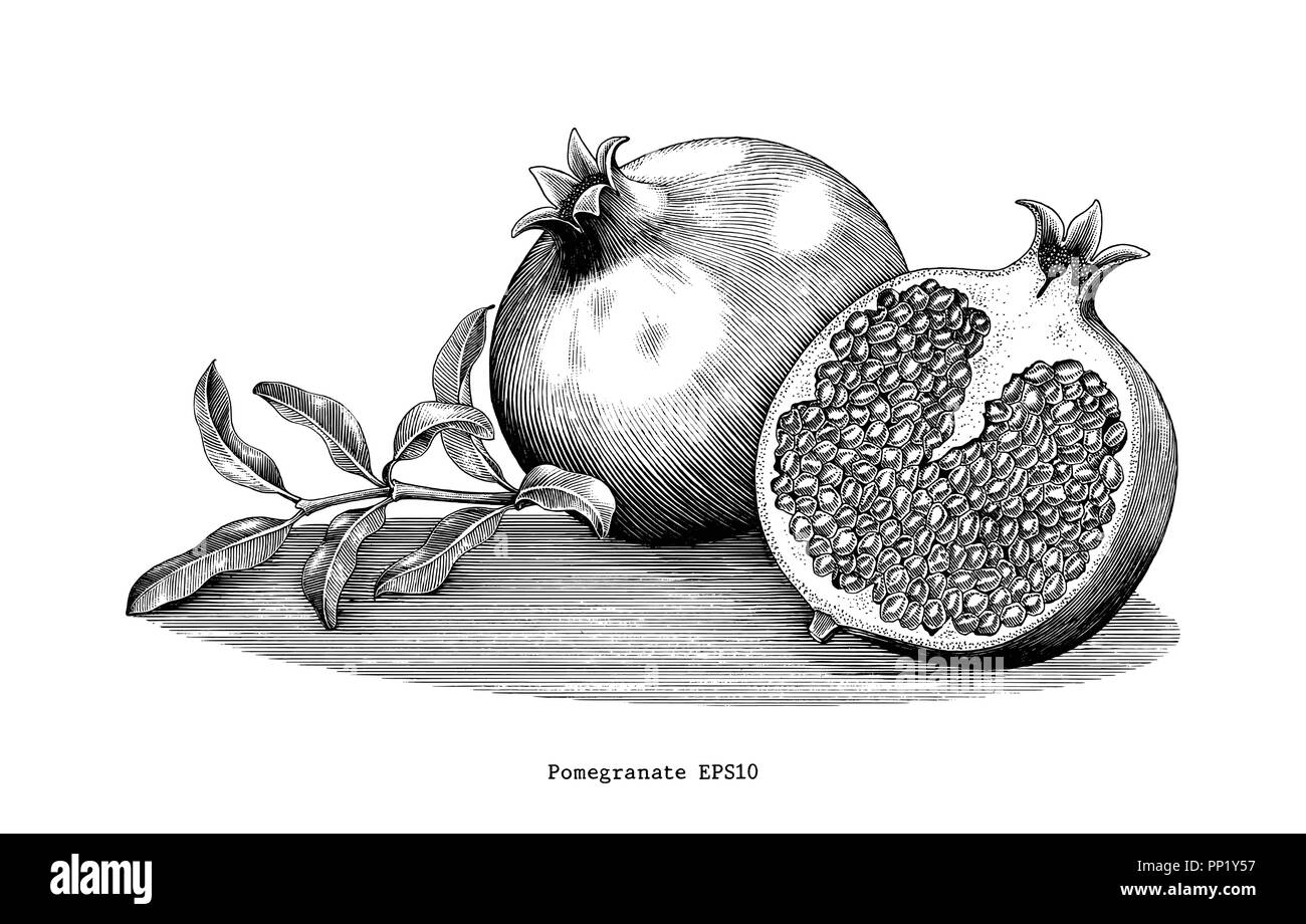 Pomegranate Black and White Stock Photos & Images - Alamy