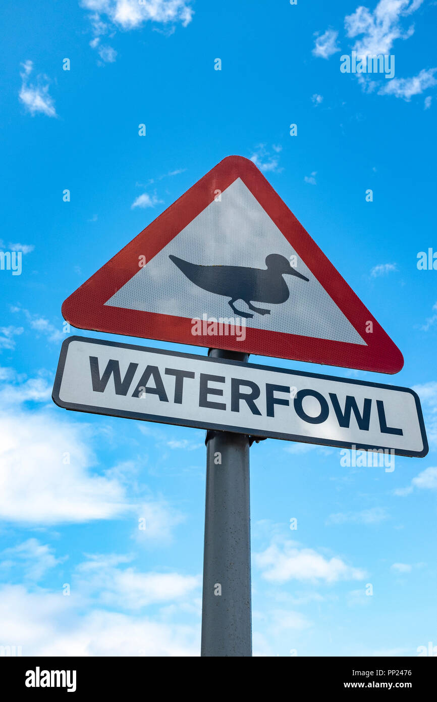 Waterfowl warning sign UK Stock Photo