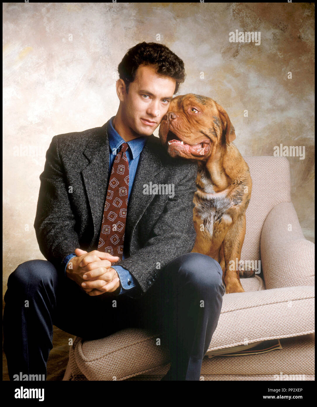 Turner And Hooch Stock Photos Turner And Hooch Stock