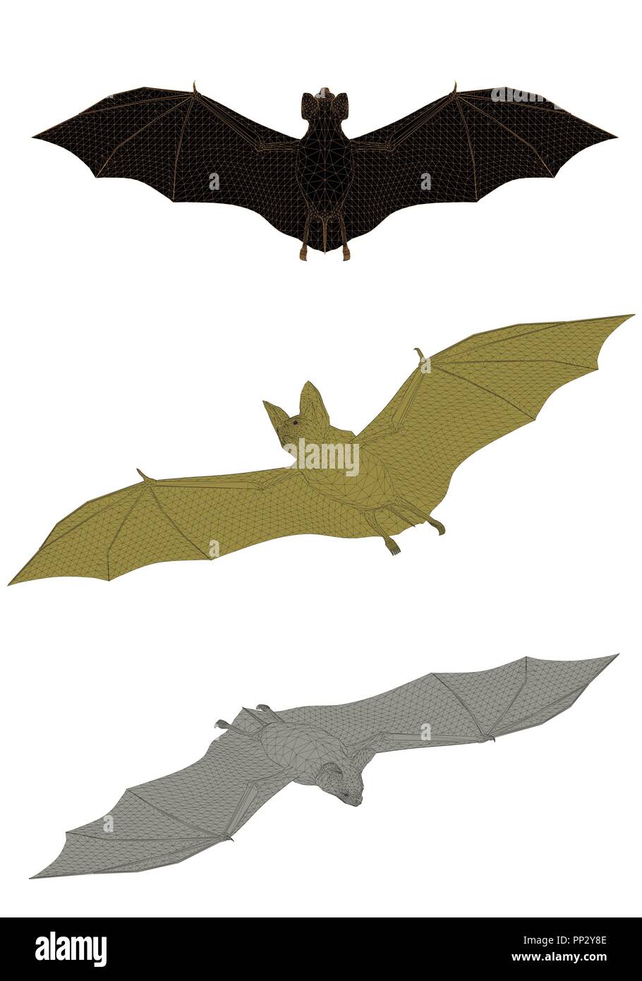 Vector illustration of a bat from different sides. Polygon. Isolated. Stock Vector