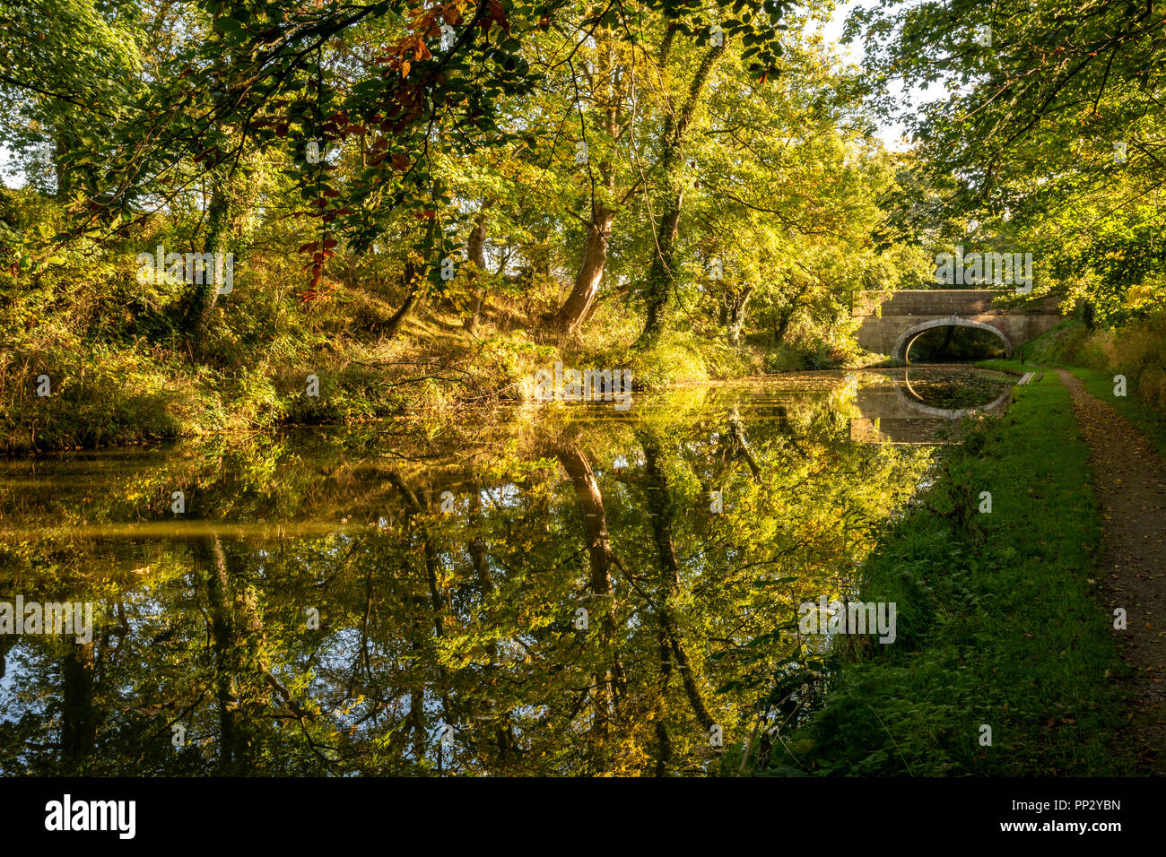 Lancaster Canal, Salwick near Preston, Lancashire, UK Stock Photo