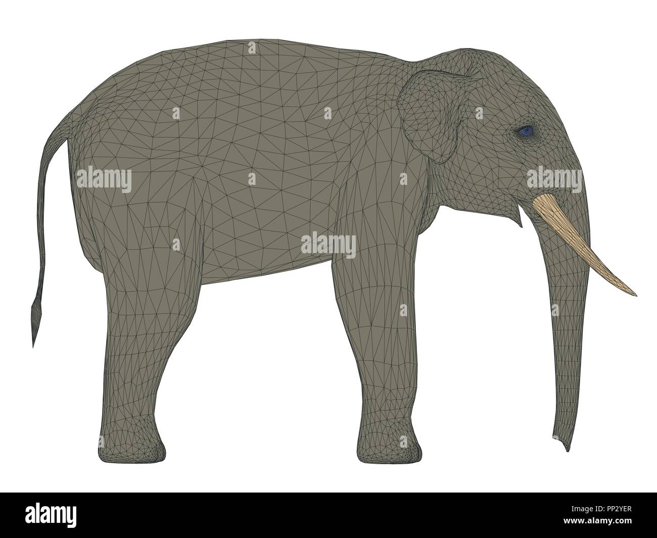 Vector illustration of polygonal elephant. Isolated. Stock Vector