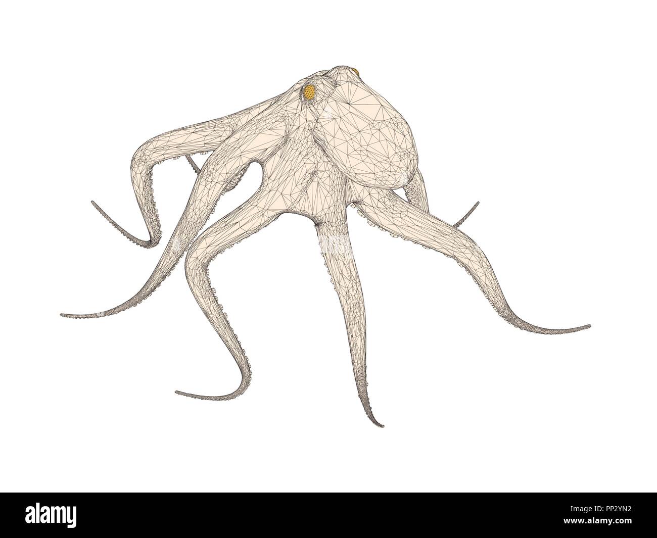 Vector illustration of a polygonal octopus. Isolated. Stock Vector