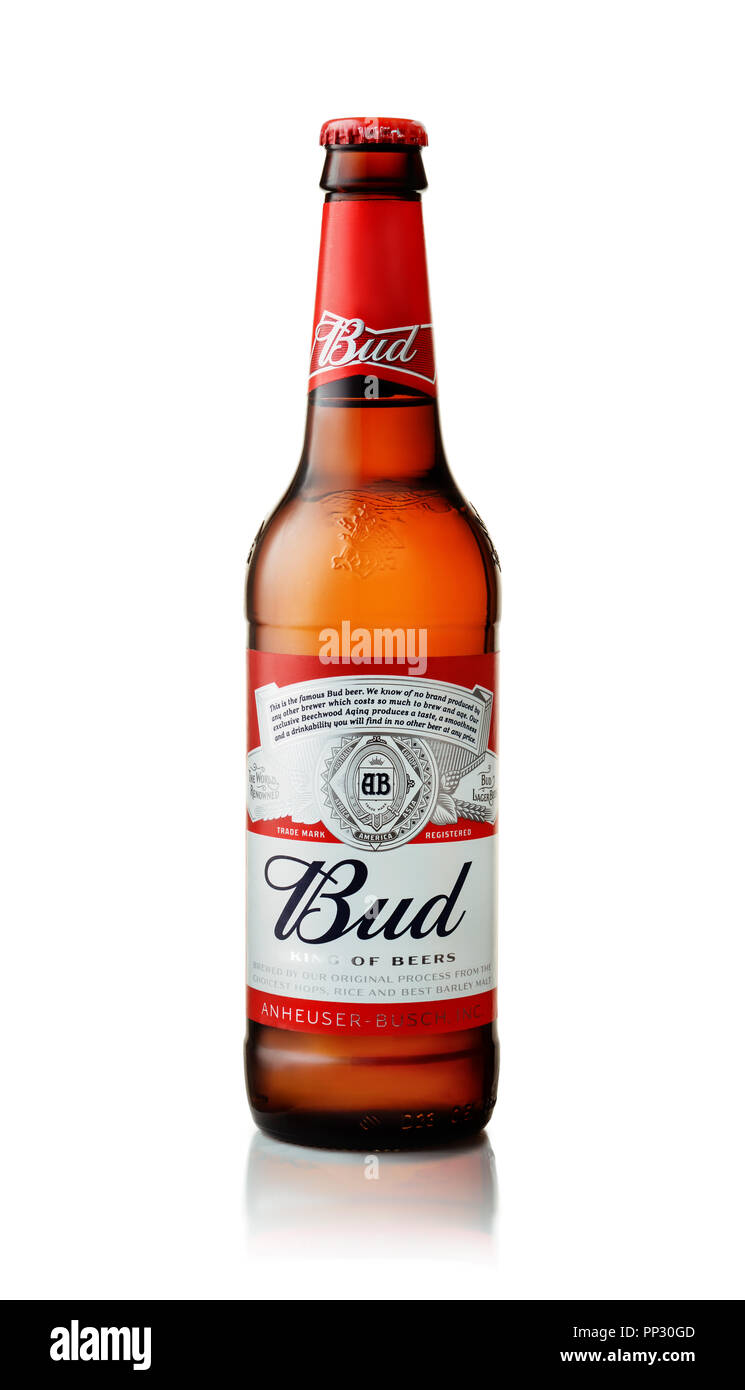 SAMARA - NOVEMBER 02, 2016: Product shot of Budweiser beer bottle on  white background Stock Photo