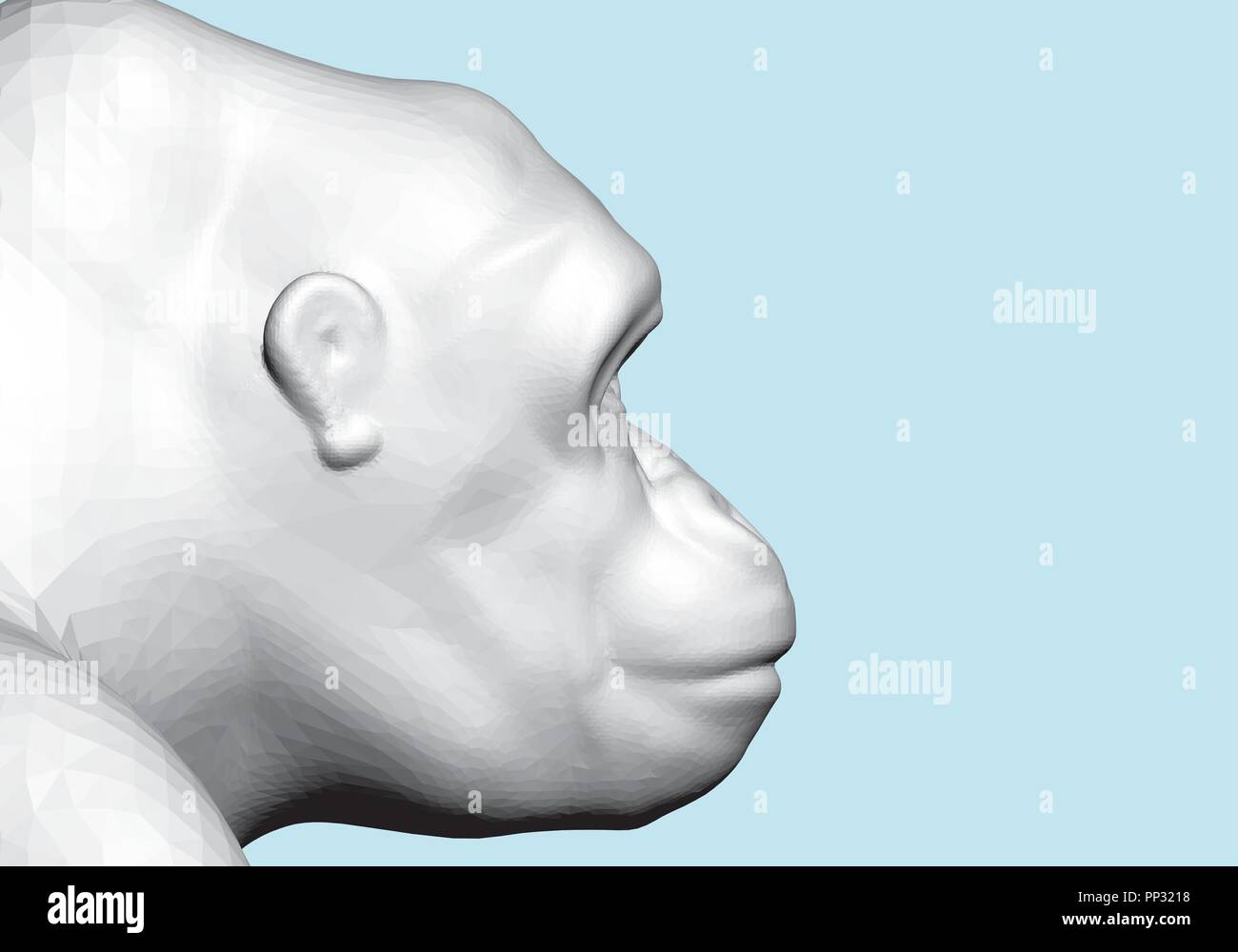 Vector illustration background with a polygonal gorilla. 3D. Stock Vector