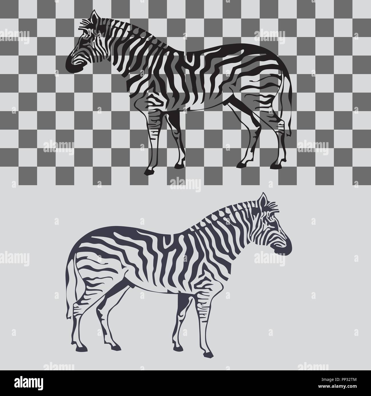 Vector illustration of a zebra on a staggered and isolated background ...